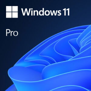 Microsoft FQC-10528 Windows 11 Pro 64-BIT 1PK DVD ENGLISH
