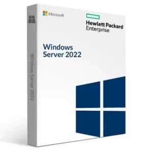 Hewlett Packard Enterprise P46217-B21 MS WS22 10Usr CAL WW LTU