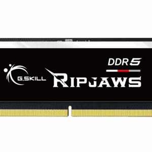 G.SKILL Ripjaws 16GB DDR5 4800MHz CL38 SO-DIMM Laptop Memory Module (F5-4800S3838A16GX1-RS)